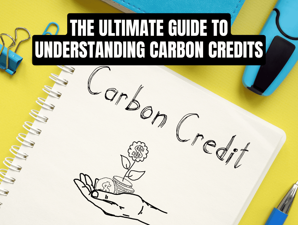 The Ultimate Guide to Understanding Carbon Credits