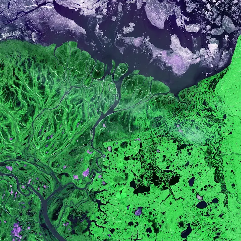 GIS Training Programs​