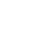 Environmental, Social, and Governances (ESGs)