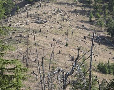Environmental change in Gilgit-Baltistan