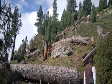 Environmental change in Gilgit-Baltistan