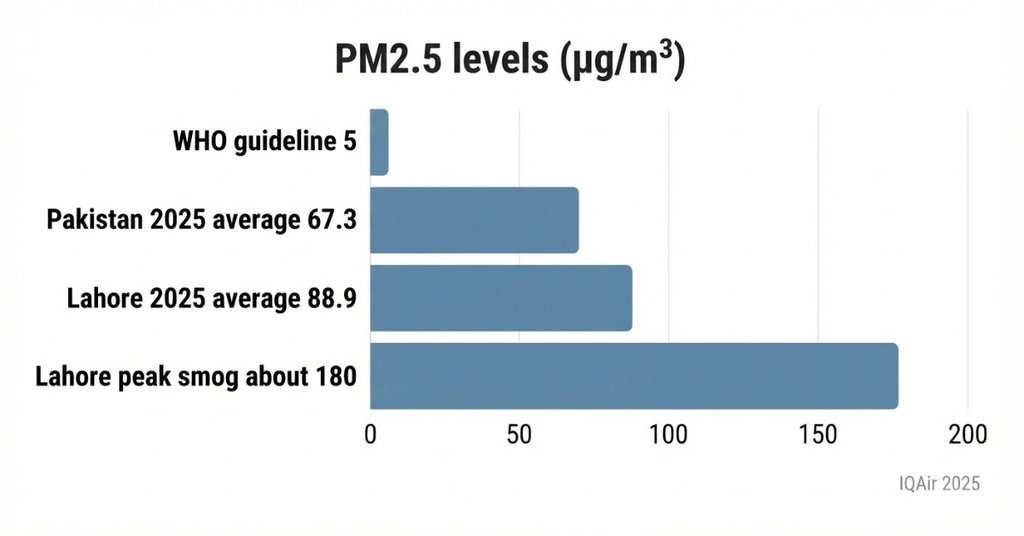 Bar chart show Somg in Pakistan