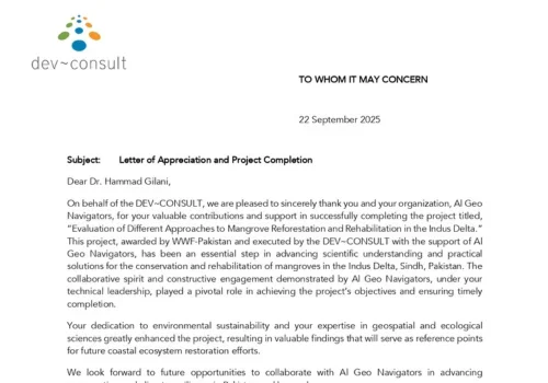 Untitled design (55)